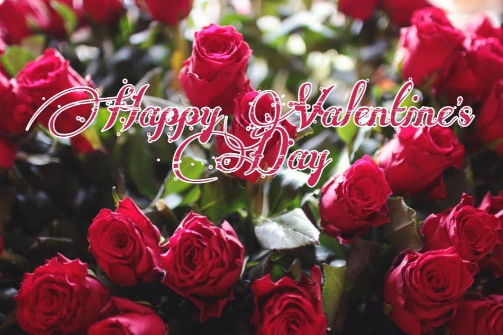 Happy Valentines Day Images 2024 Pictures Messages 10 valentines day images free download