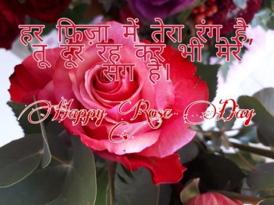 rose day quotes for boyfriend