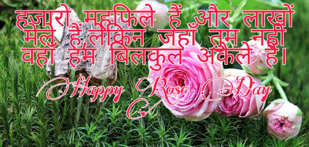 Happy Rose Day 2021 Images Pictures Quotes 45 rose day quotes for love