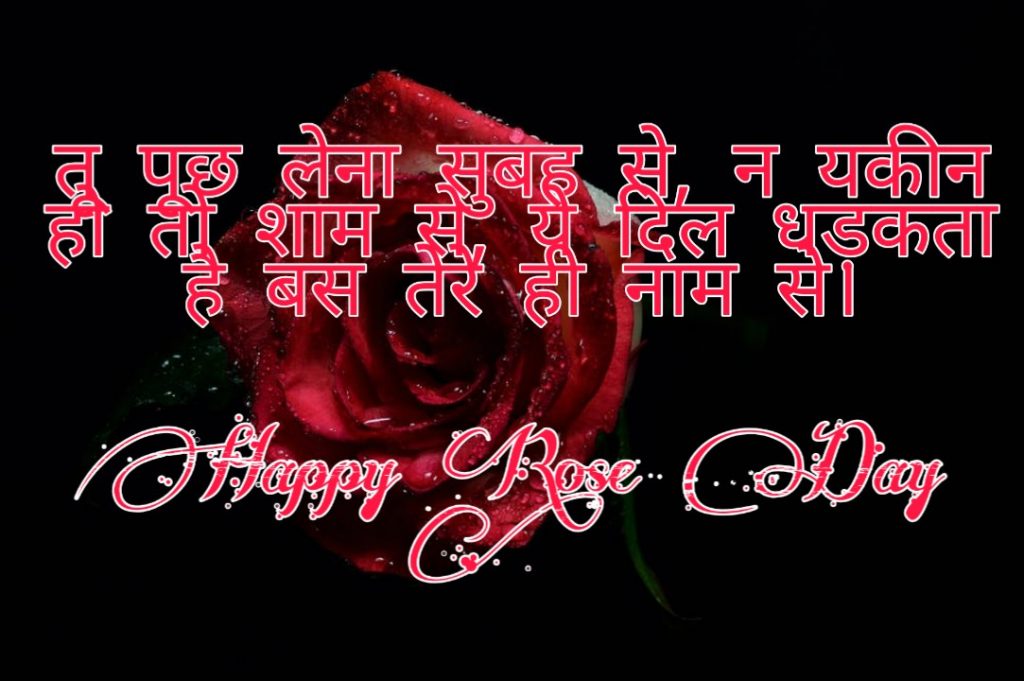 happy rose day quotes