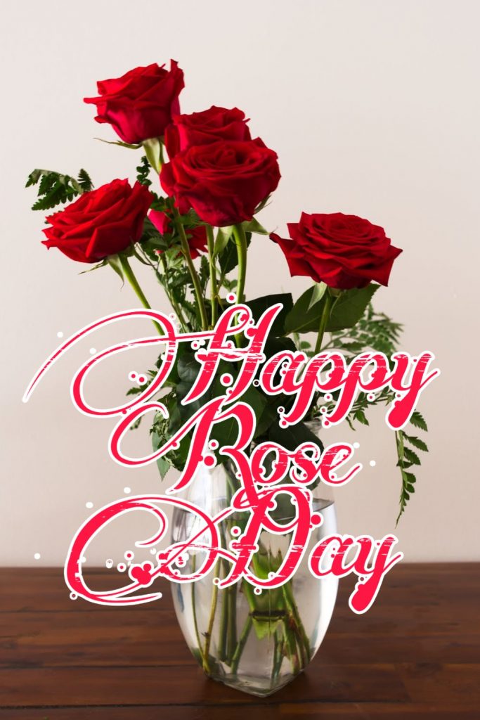 Happy Rose Day 2021 Images Pictures Quotes 10 rose day images hd