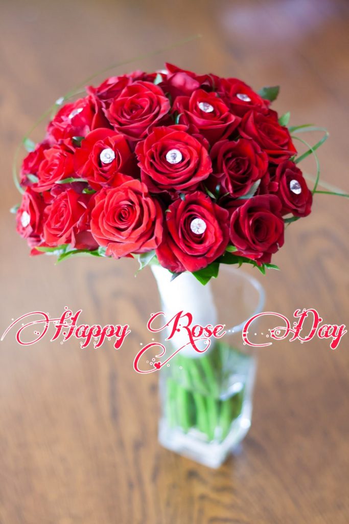download rose day images