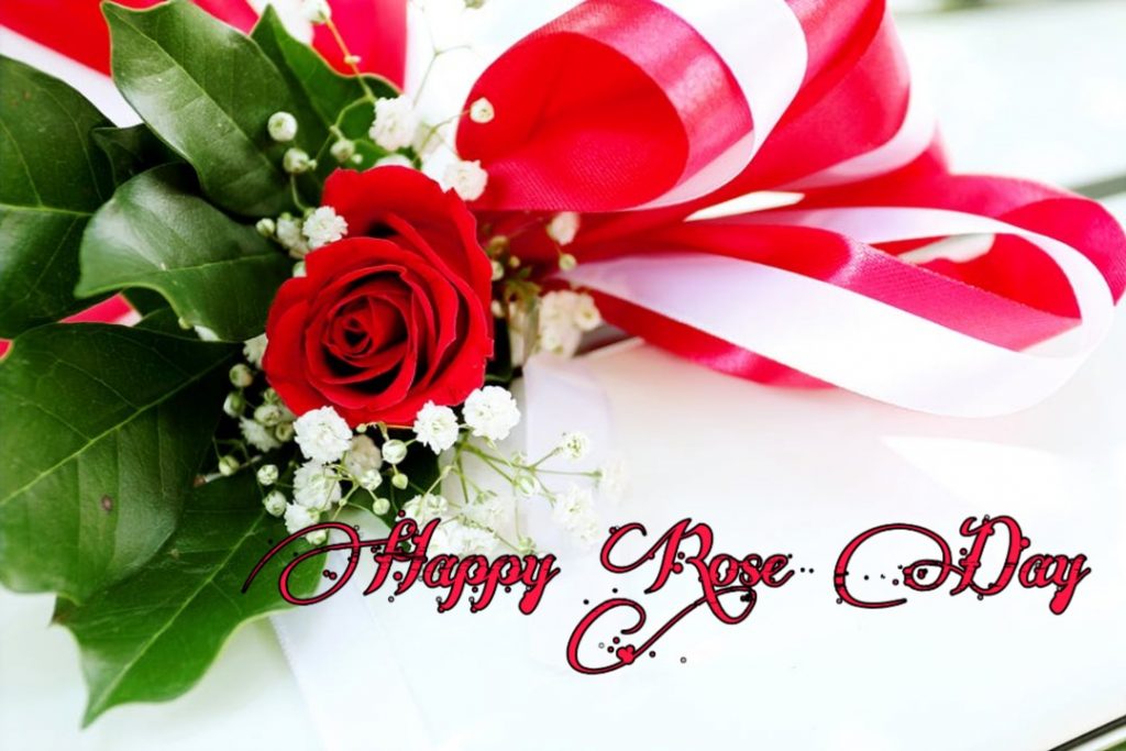 rose day images download