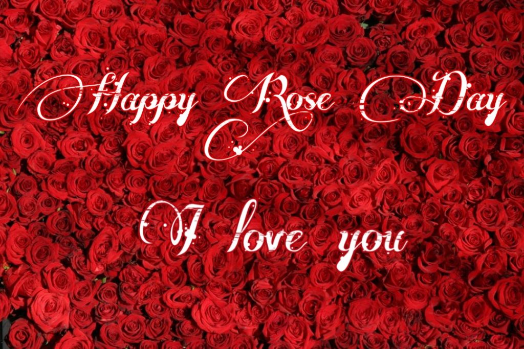 happy rose day images download