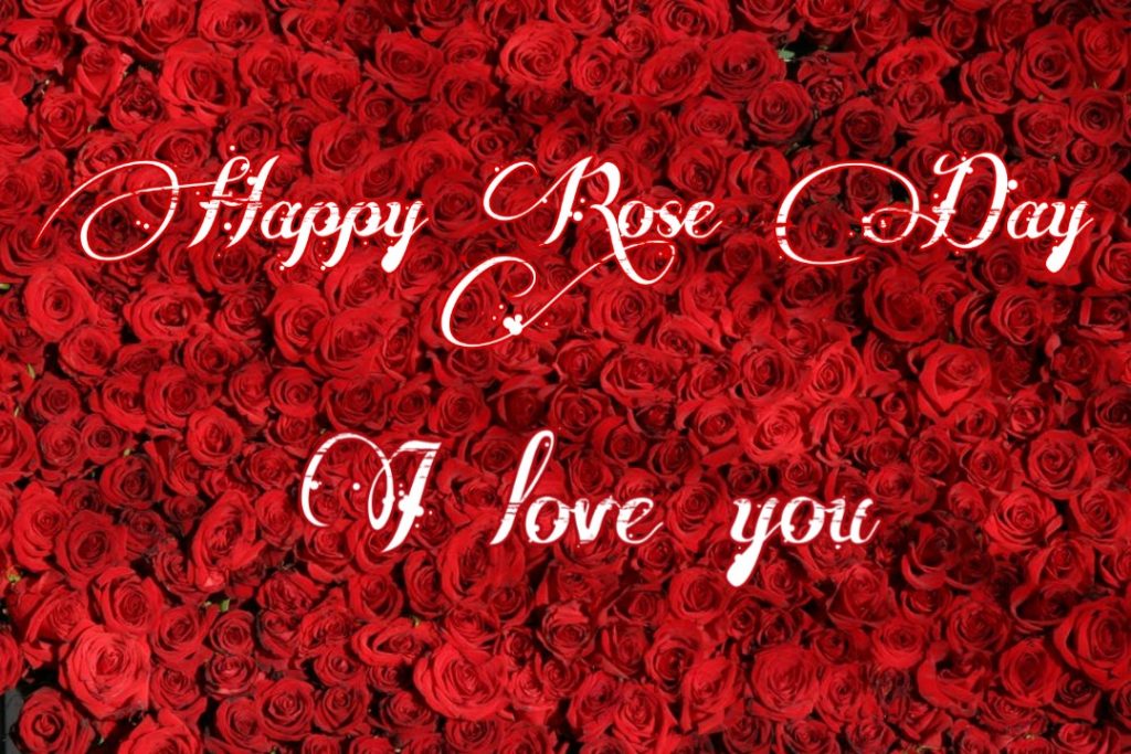 Happy Rose Day 2021 Images Pictures Quotes 4 happy rose day images download