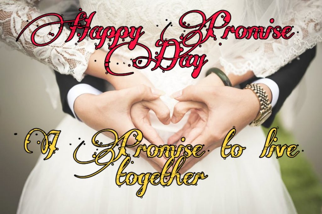 image of happy promise day