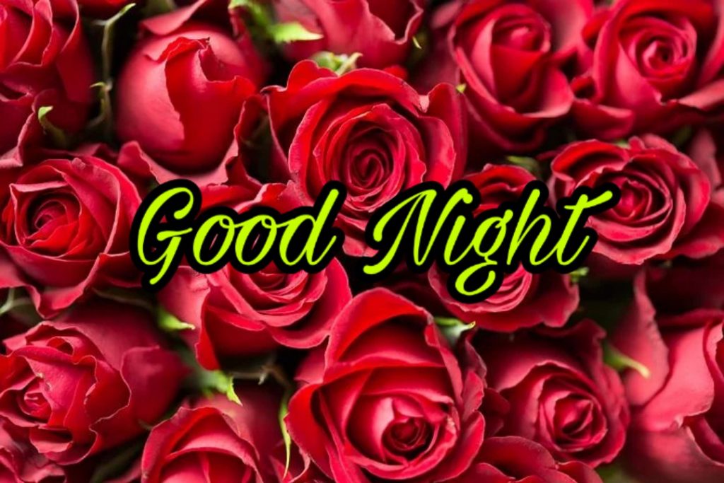 Featured image of post Good Night Flowers Images For Love : Here&#039;s for you the best good night droplets on rose gif for your loved ones.