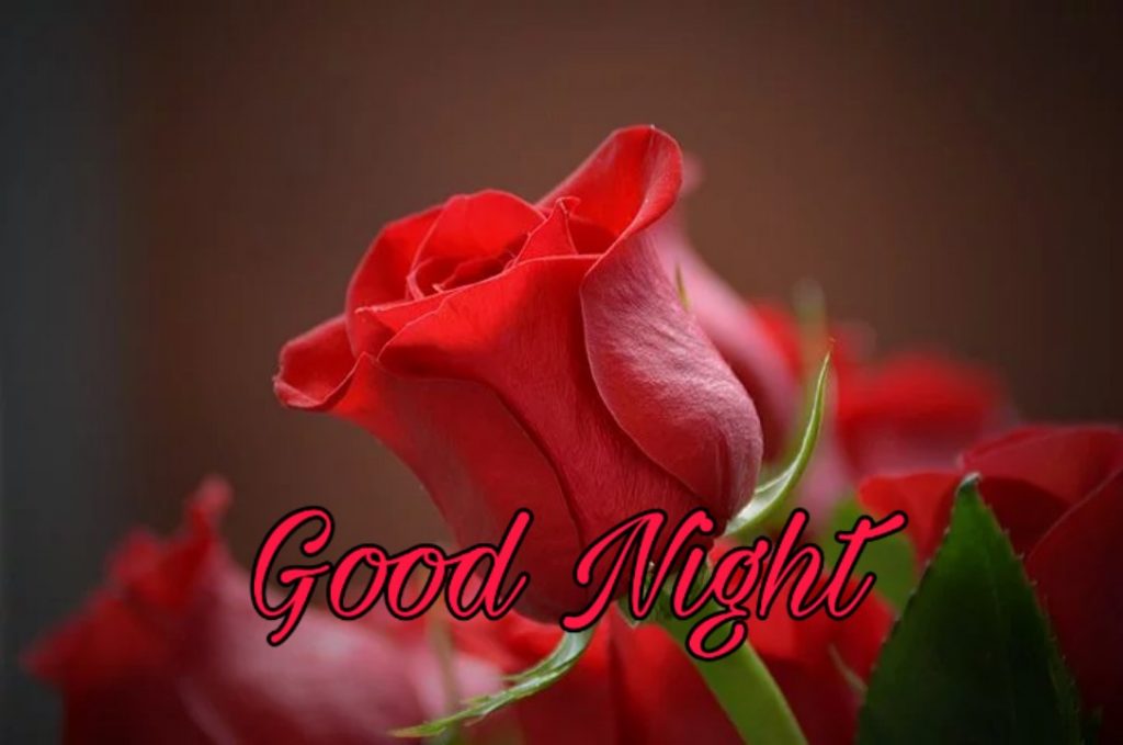 109+ Good Night Flower Images Pictures Photos - New 2023 64 good night images with flowers
