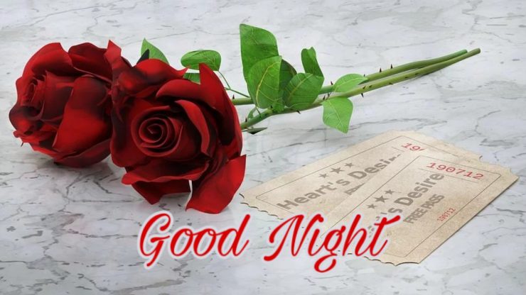 Good Night Flowers Images Pic Photos Rose 2020 Best Collection