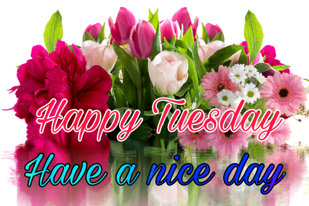 50+ Good Morning Tuesday Images 2023 4 good morning happy tuesday