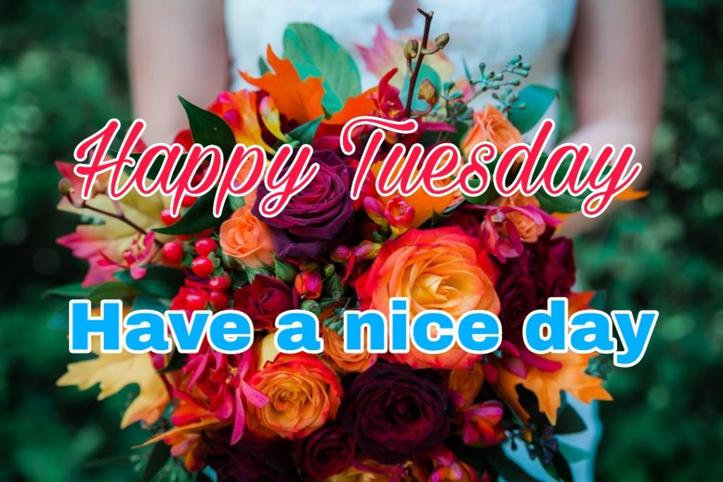 50+ Good Morning Tuesday Images 2023 6 happy tuesday morning