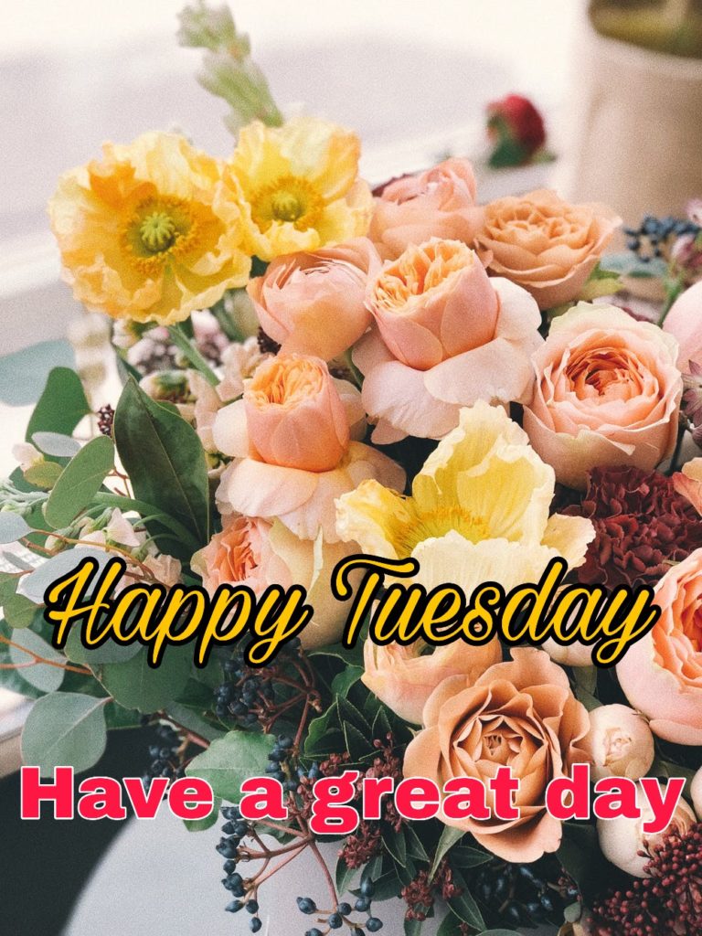 50+ Good Morning Tuesday Images 2023 7 happy tuesday image
