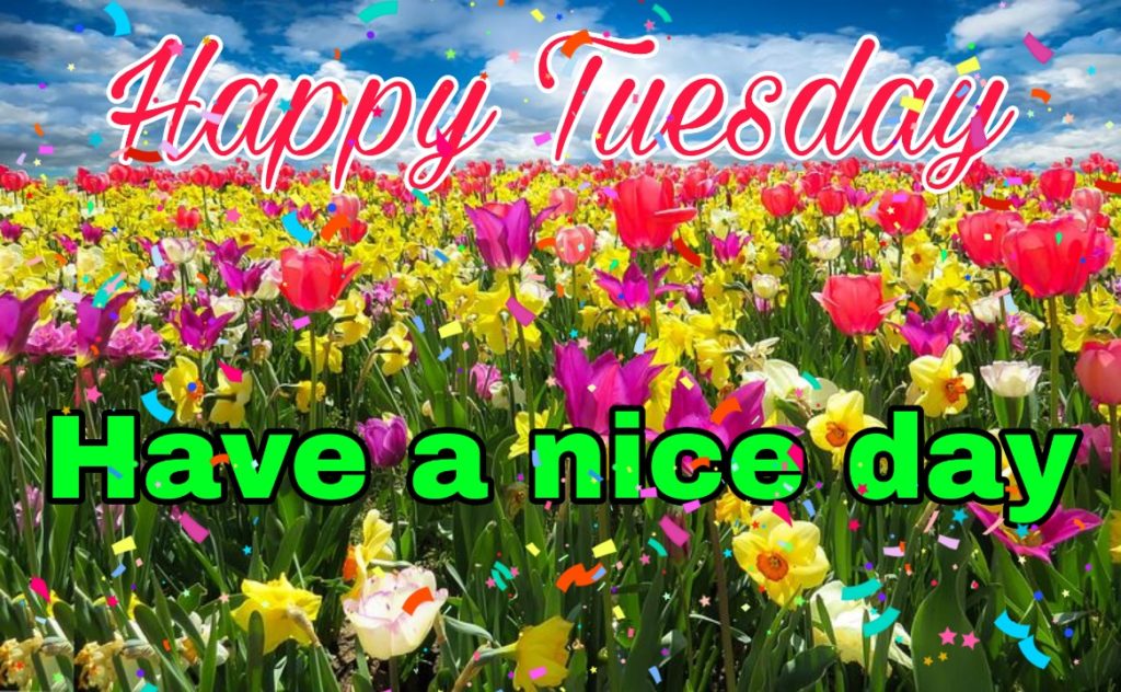 50+ Good Morning Tuesday Images 2023 12 happy tuesday pictures