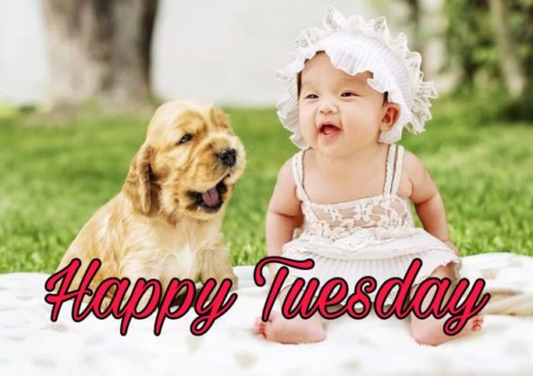 50+ Good Morning Tuesday Images 2023 18 happy tuesday pictures funny