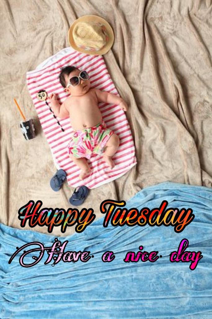 50+ Good Morning Tuesday Images 2023 19 happy tuesday meme