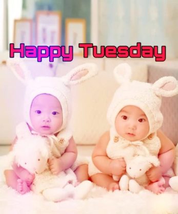 50+ Good Morning Tuesday Images 2023 20 good morning and happy tuesday