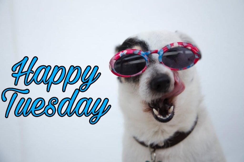 50+ Good Morning Tuesday Images 2023 21 happy tuesday fall