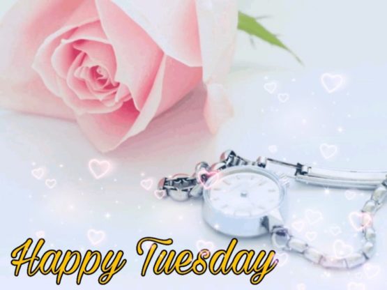 happy tuesday clipart
