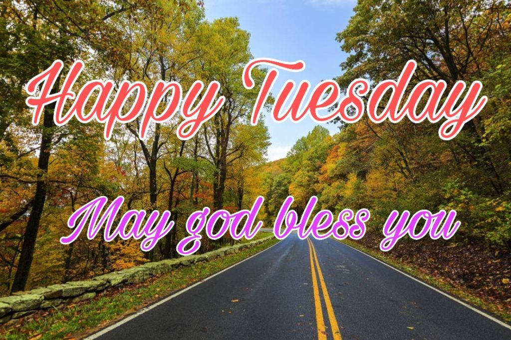images of happy tuesday