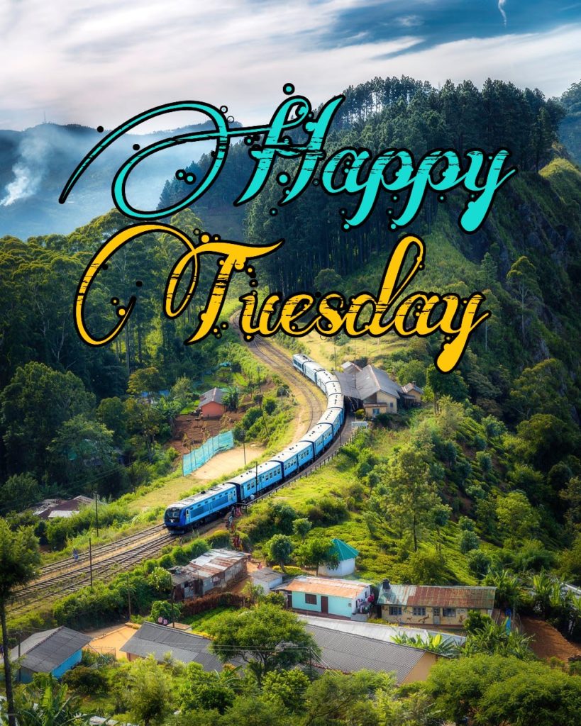 50+ Good Morning Tuesday Images 2023 15 happy tuesday morning images