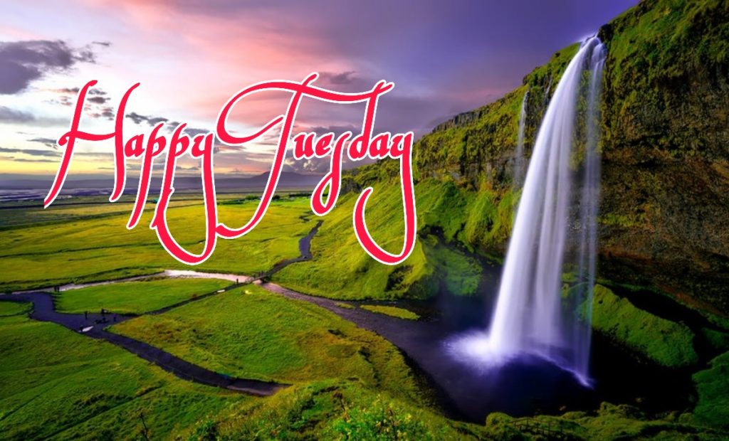 50+ Good Morning Tuesday Images 2023 16 happy tuesday my love