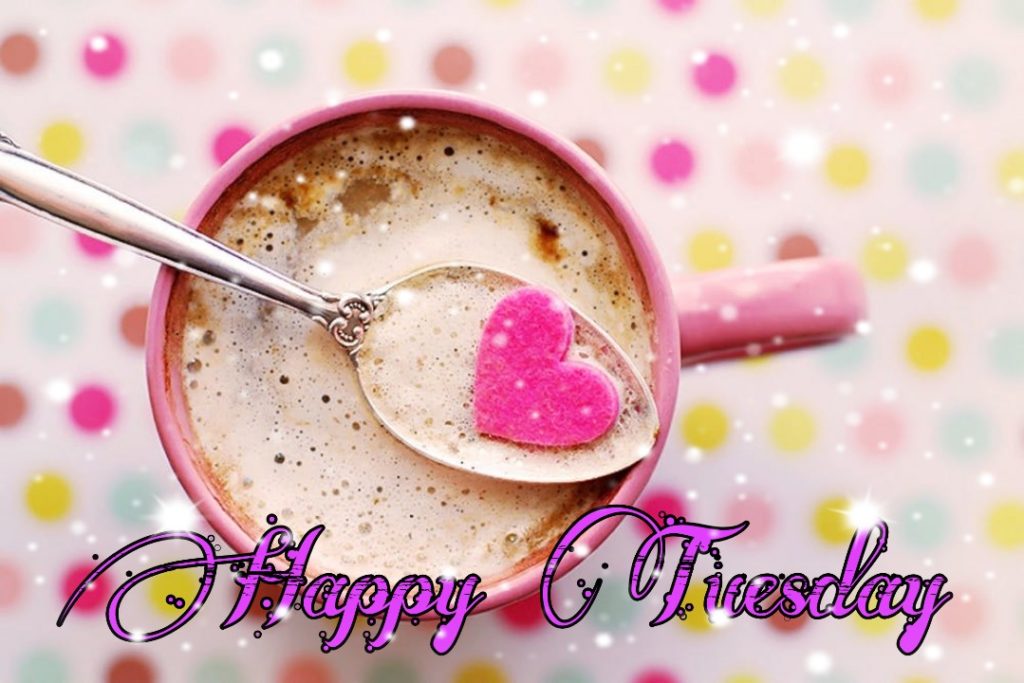 50+ Good Morning Tuesday Images 2023 28 happy tuesday meme funny