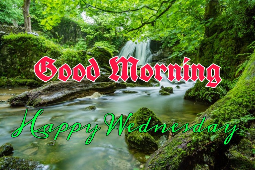 77+ Good Morning Wednesday Images 2023 4 good morning wednesday blessings