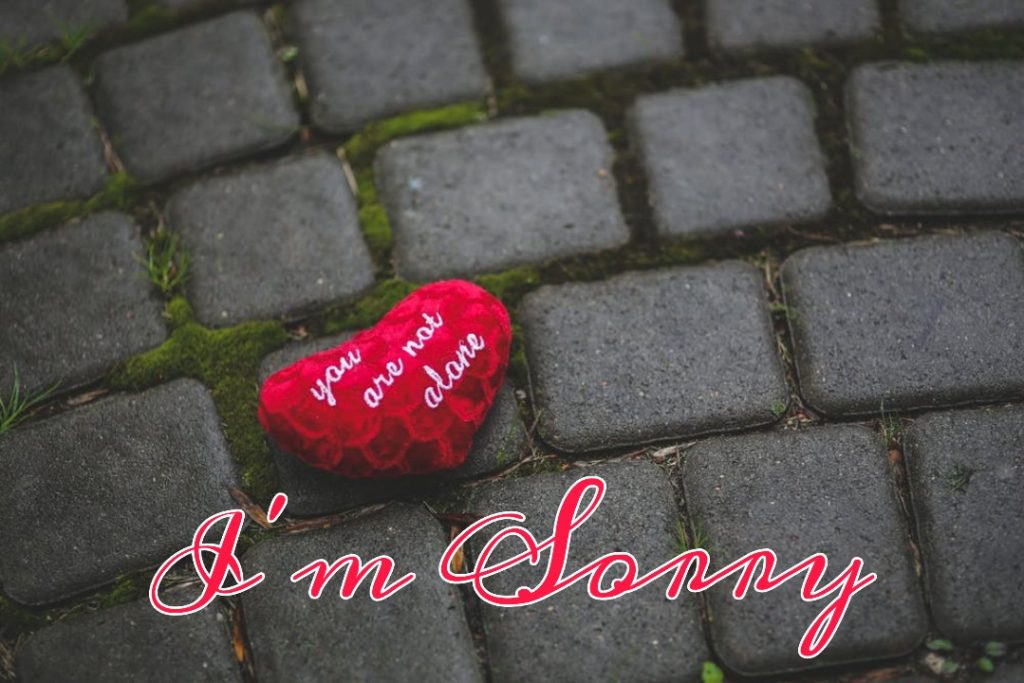 55+ Sorry Images Photos Pictures 2023 - Latest Collection 3 55+ Sorry Images Photos Pictures 2023 - Latest Collection 2