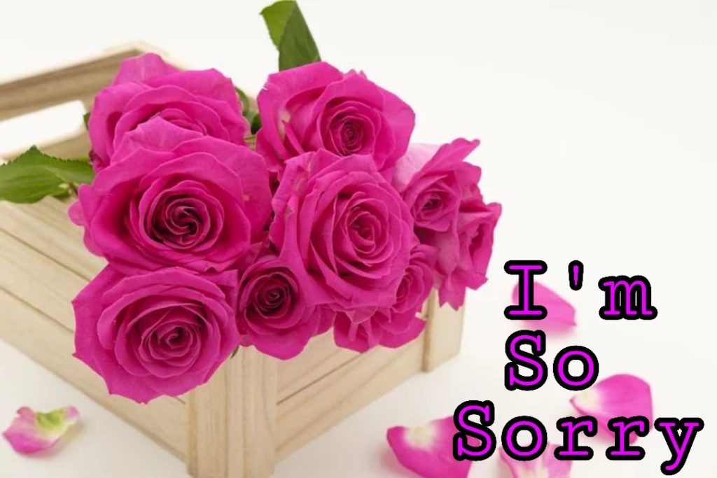 55+ Sorry Images Photos Pictures 2023 - Latest Collection 10 55+ Sorry Images Photos Pictures 2023 - Latest Collection 5