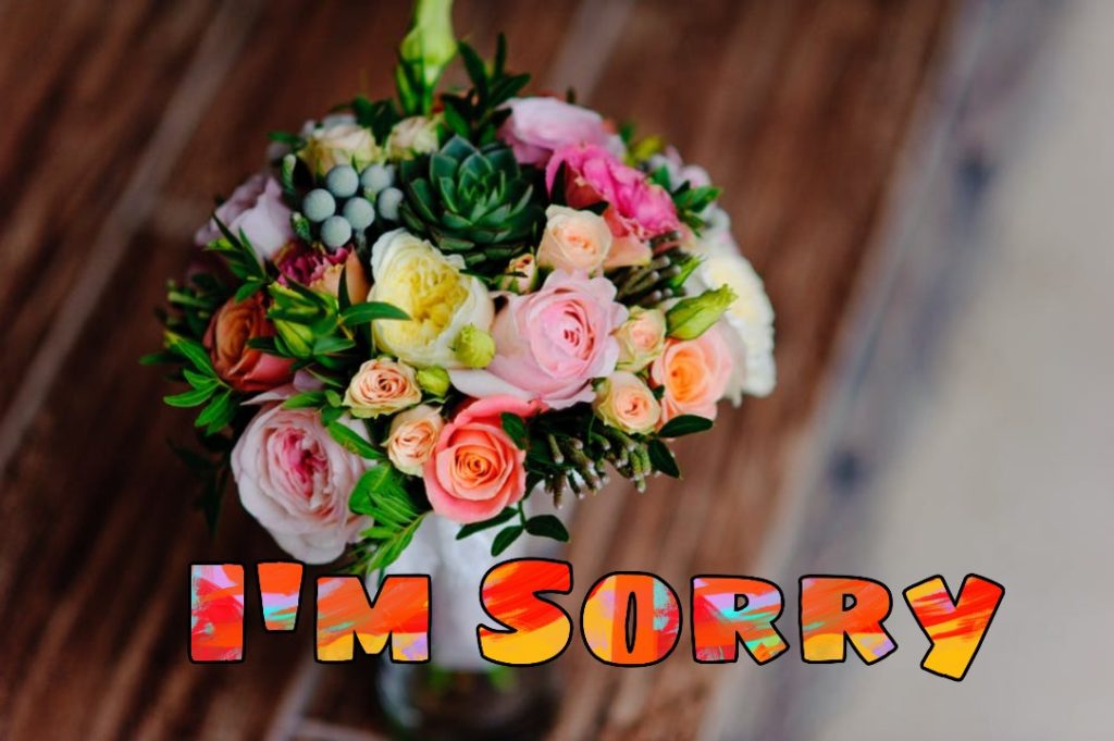 Sorry Images Photos Pictures Stock Photos - I am Sorry Images 12