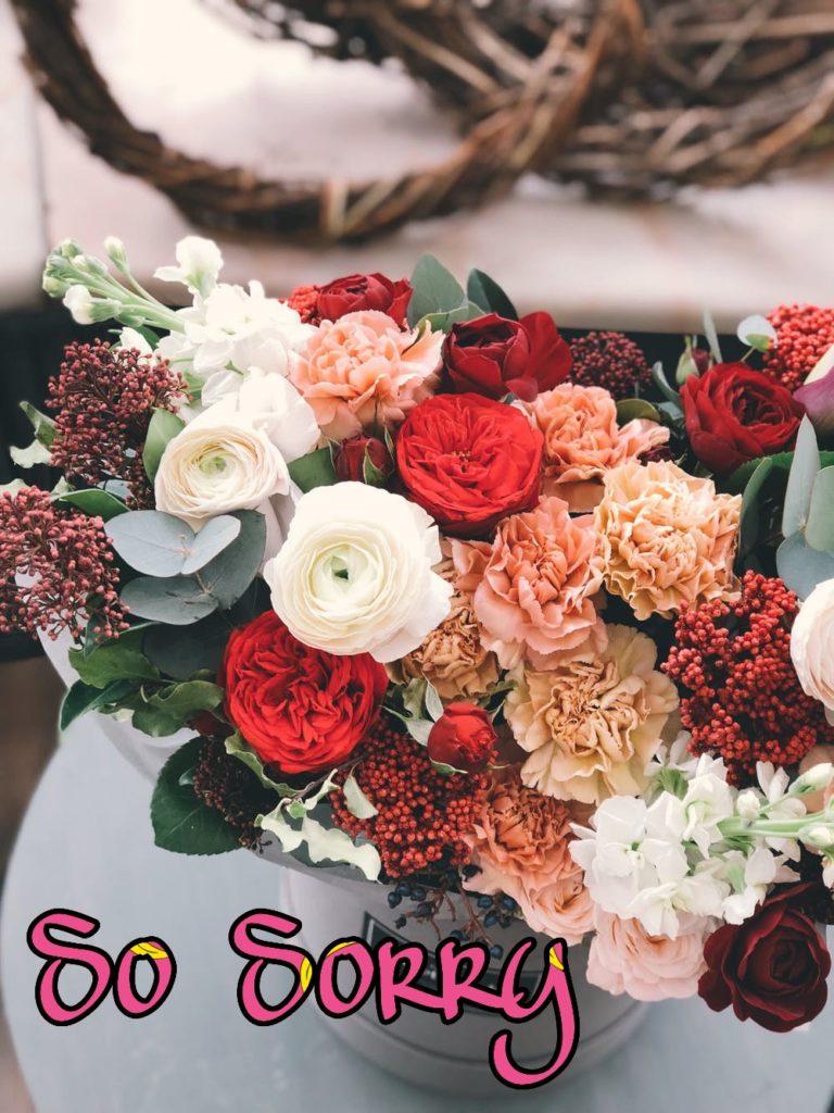 55+ Sorry Images Photos Pictures 2023 - Latest Collection 18 55+ Sorry Images Photos Pictures 2023 - Latest Collection 13