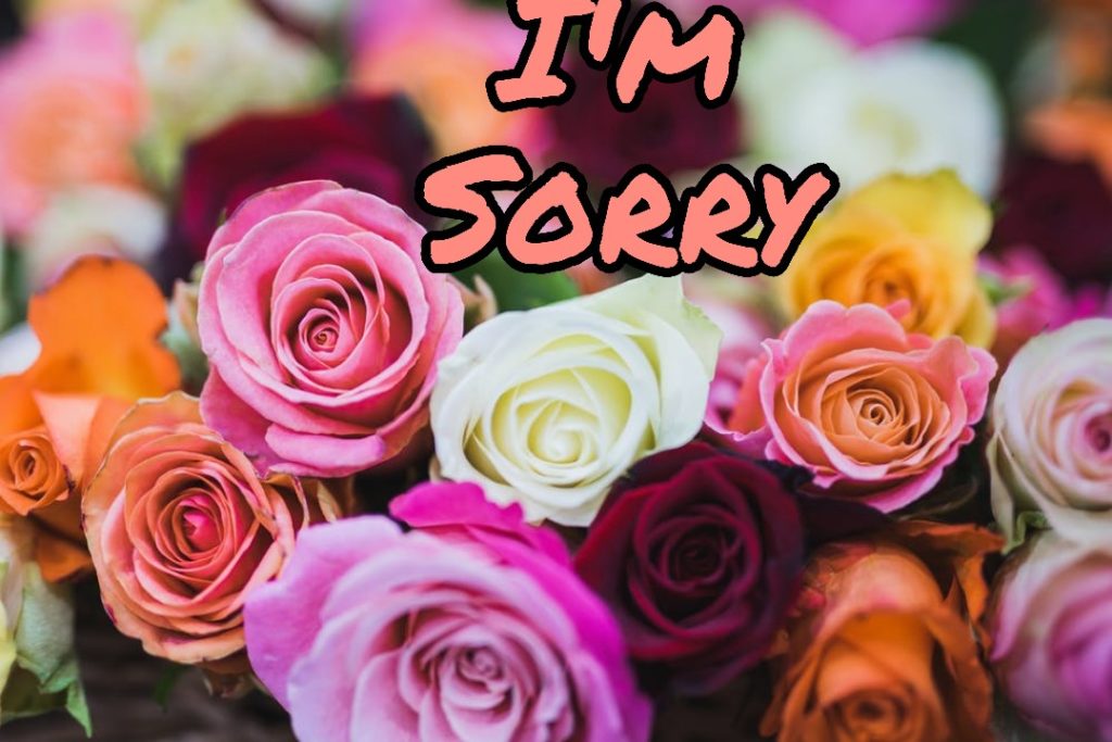 Sorry Images Photos Pictures Stock Photos - I am Sorry Images 14