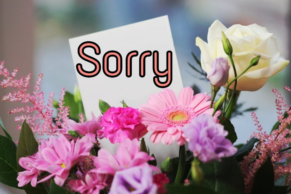 55+ Sorry Images Photos Pictures 2023 - Latest Collection 16 55+ Sorry Images Photos Pictures 2023 - Latest Collection 11
