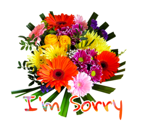 55+ Sorry Images Photos Pictures 2023 - Latest Collection 20 55+ Sorry Images Photos Pictures 2023 - Latest Collection 15