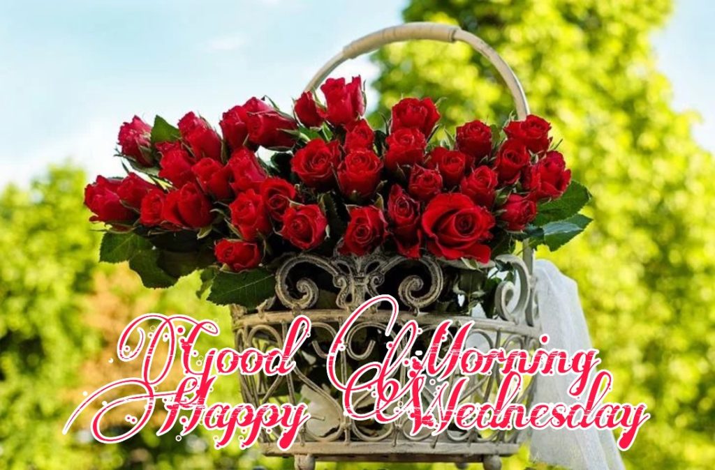 77+ Good Morning Wednesday Images 2023 29 happy wednesday