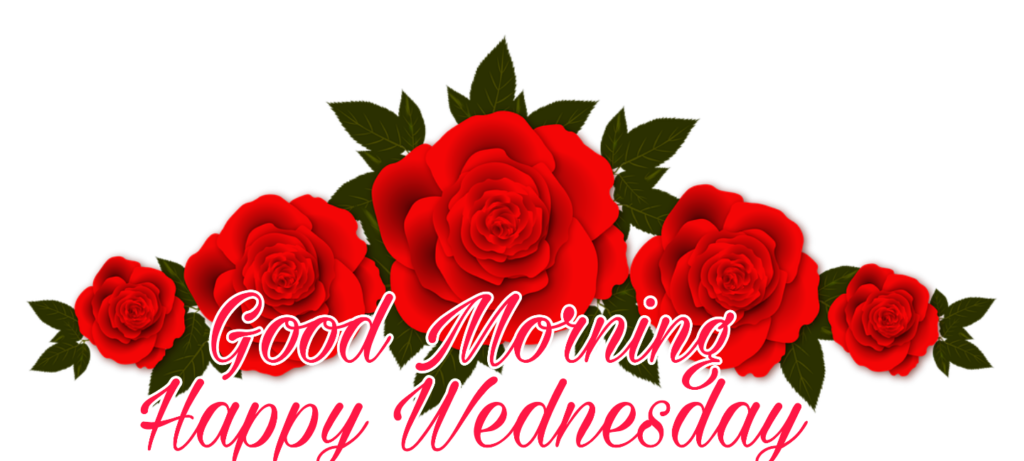 77+ Good Morning Wednesday Images 2023 28 good morning wednesday photos