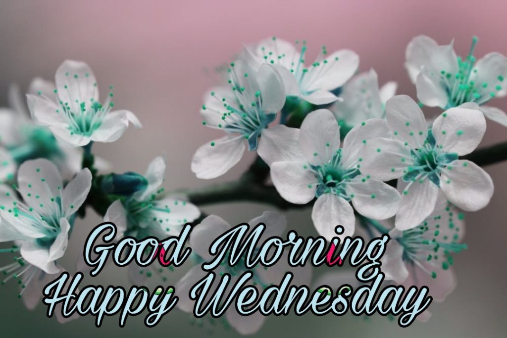 good morning wednesday wallpaper