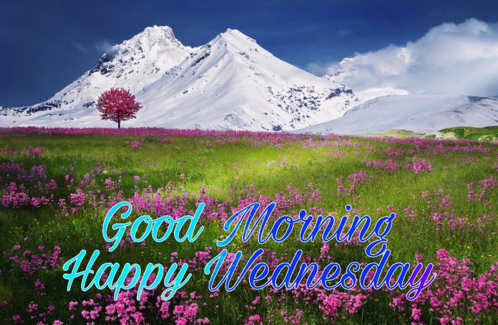 77+ Good Morning Wednesday Images 2023 22 good morning wednesday winter images