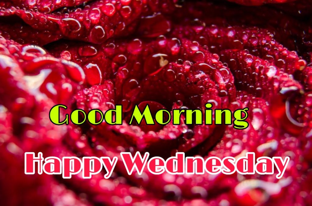 good morning wednesday wishes