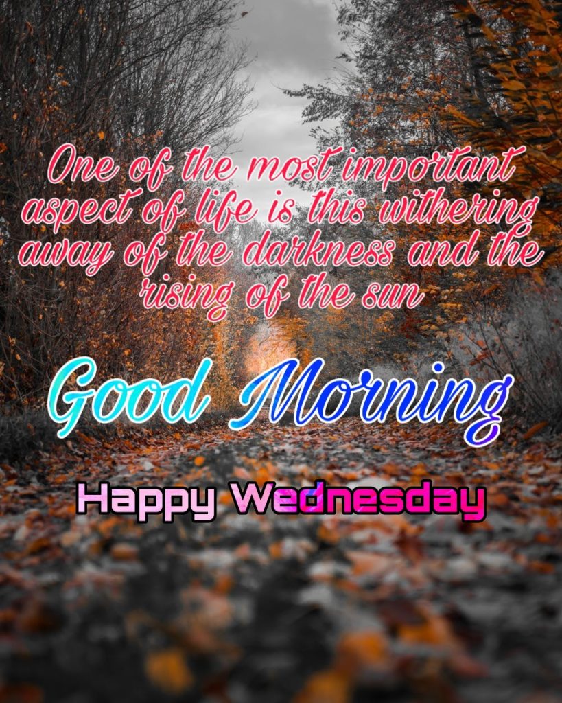 77+ Good Morning Wednesday Images 2023 18 good morning wednesday quotes images