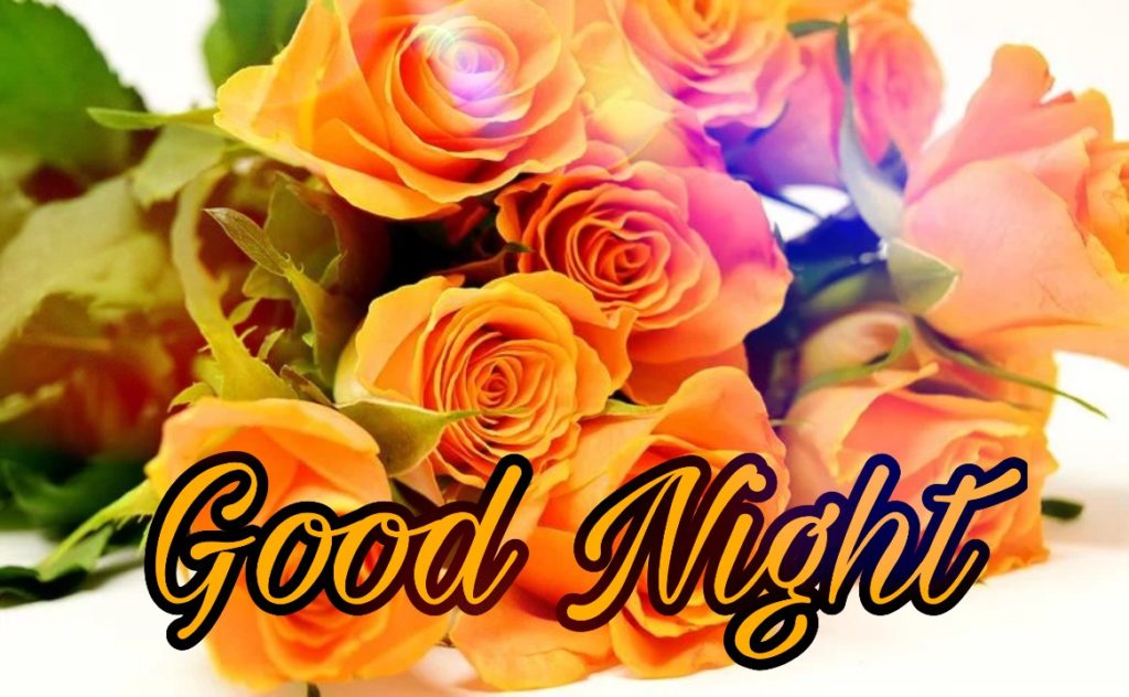 109+ Good Night Flower Images Pictures Photos - New 2023 36 good night rose picture