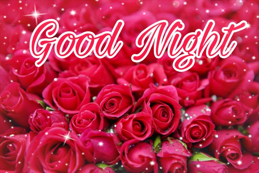 109+ Good Night Flower Images Pictures Photos - New 2023 34 good night rose flowers for lovers