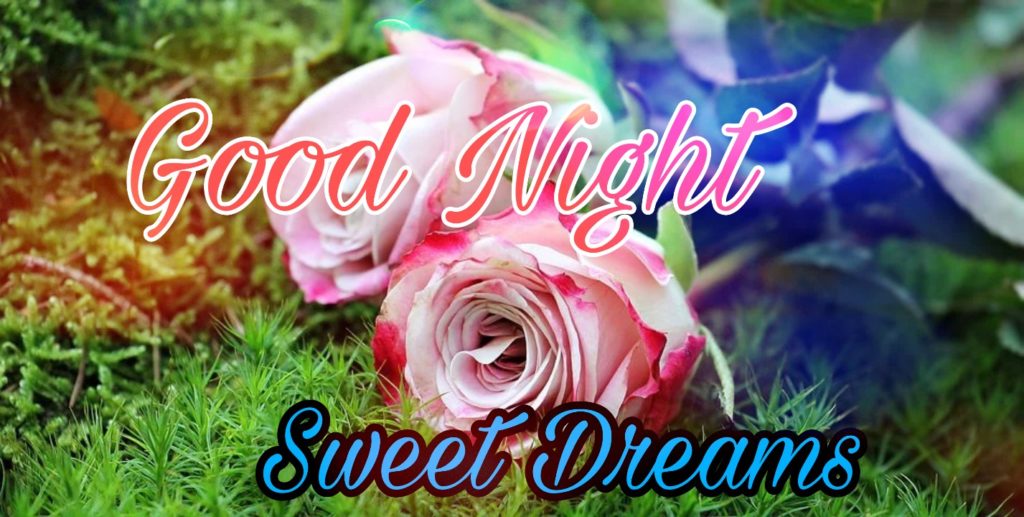 good night sweet dreams messages