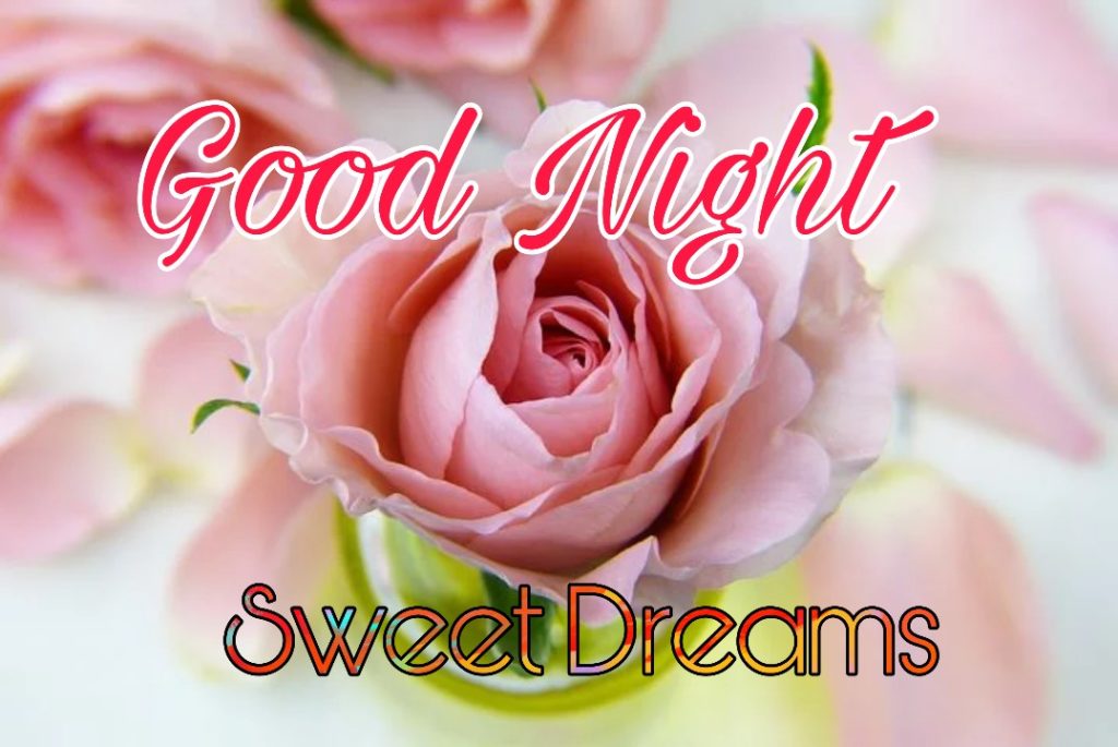 109+ Good Night Flower Images Pictures Photos - New 2023 20 good night rose love