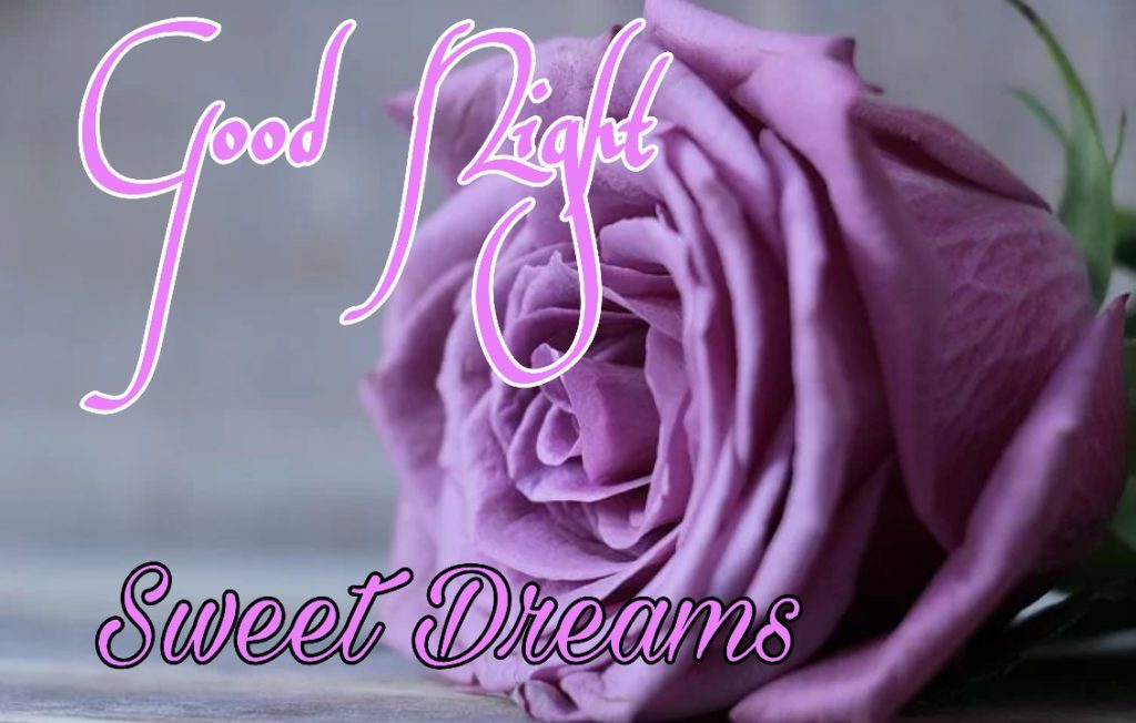 109+ Good Night Flower Images Pictures Photos - New 2023 21 good night rose flowers