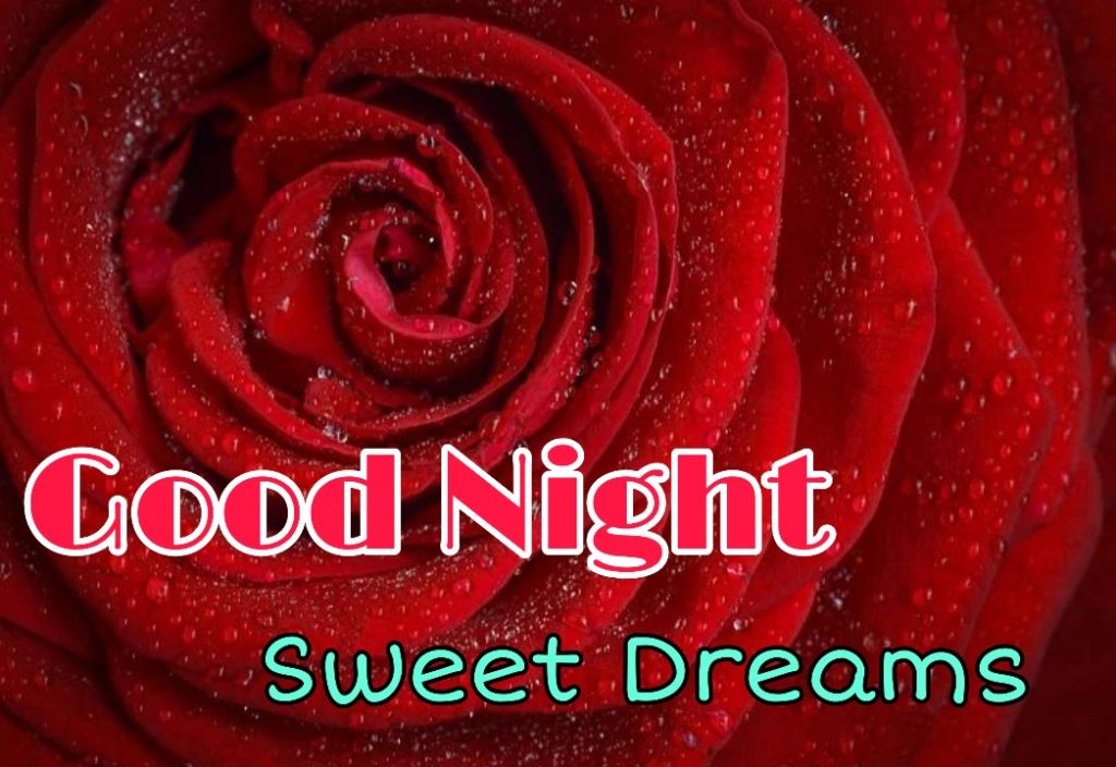 good night rose wallpaper