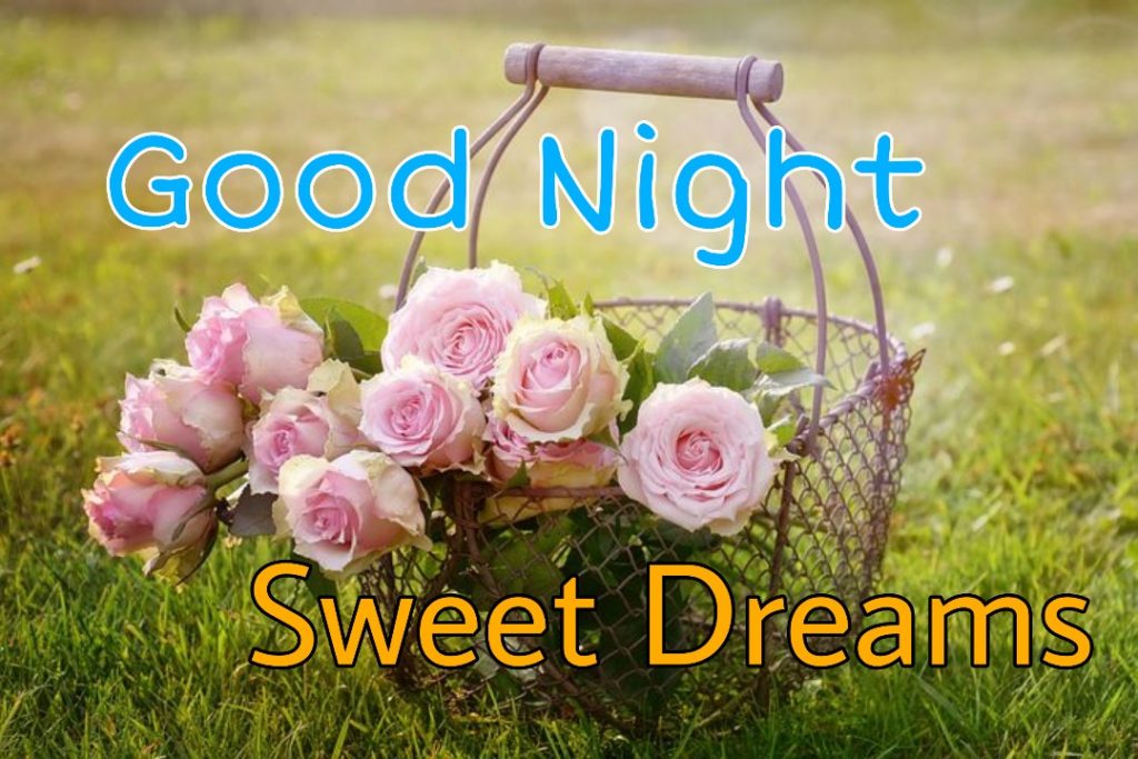 109+ Good Night Flower Images Pictures Photos - New 2023 22 love good night rose