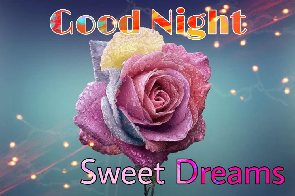 good night rose images