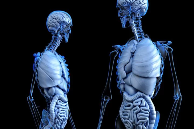 3D Wallpaper for Desktop HD - Best 3D Wallpapers 2023 2 3d wallpaper
