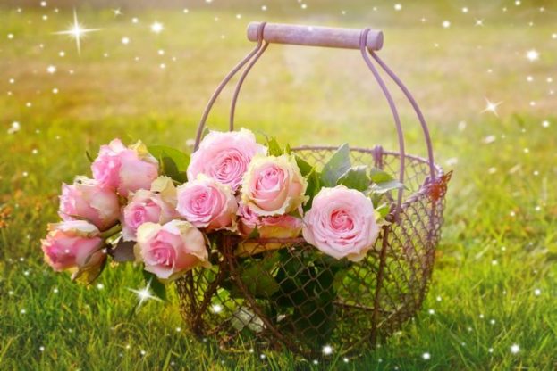 Flower Wallpaper HD 1080p for mobile Desktop 19 flower wallpaper hd for android